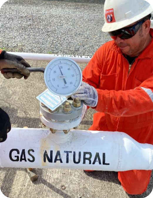 MANTENIMIENTO A INSTRUMENTACIÓN Y CONTROLADORES DEL SISTEMAS DE GAS COMBUSTIBLE